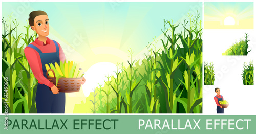 Young farmer in the corn field. Basket with cobs. set of slides create parallax image layer. Cartoon style. Isolated on white background. Vector.