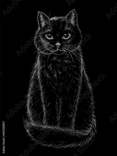 Vector illustration of a black sitting cat in engraving style on a black background