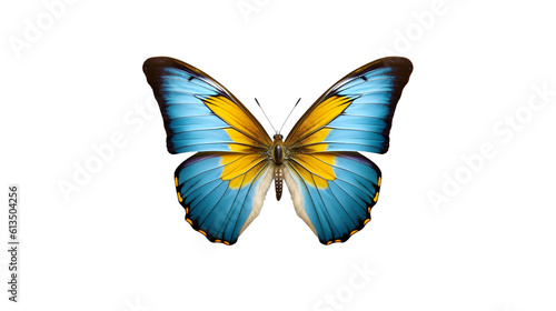  3D Butterfly on Transparent Background - Generative AI