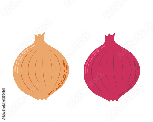 Onion. Whole onion and cut onion. Flat simple design.