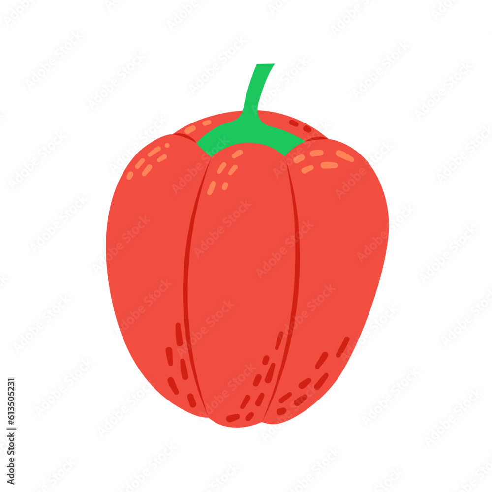 Bulgarian pepper isolated on a white background, vector illustration of sweet pepper Bulgarian pepper isolated on a white background, vector illustration of sweet pepper