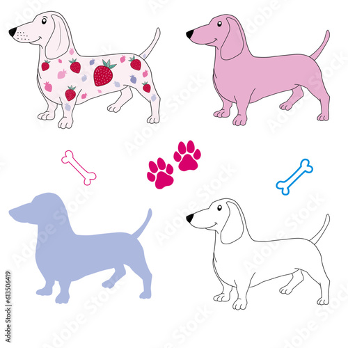 Dachshund set vector, dachshund with strawberries, dachshund outline vector, dachshund silhouette 