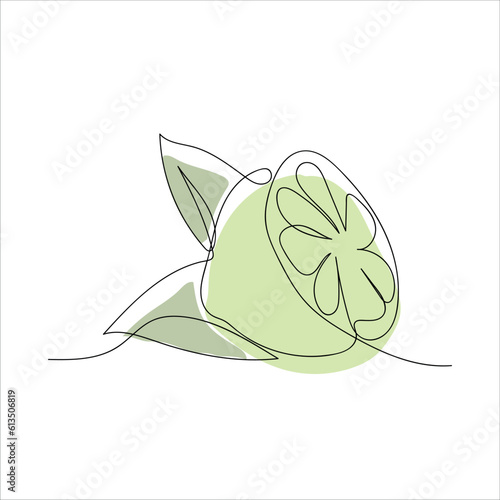 lime. lime slices drawn with a single line. fresh juice. juicy citrus. black lines with added background. vector. on a white background.