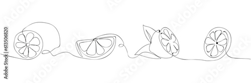 lime. lime slices drawn with a single line. fresh juice. juicy citrus. black lines with added background. vector. on a white background.