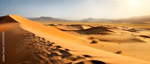 Panorama sur un d  sert de sable