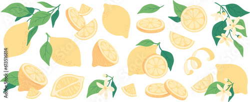 Summer fresh juicy lemons, lemon slices and peel, vitamin rich citrus fruits. Hand drawn tree branch with leaves, flowers and ripe lemon, organic lemonade ingredient, vegetarian diet food vector set
