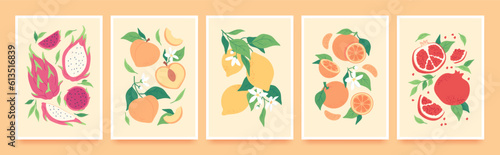 Trendy hand drawn tropical fruit posters, contemporary print with lemon and pomegranate. Minimalist aesthetic book cover template with fruits, leaves and flowers, orange and peach vector poster set