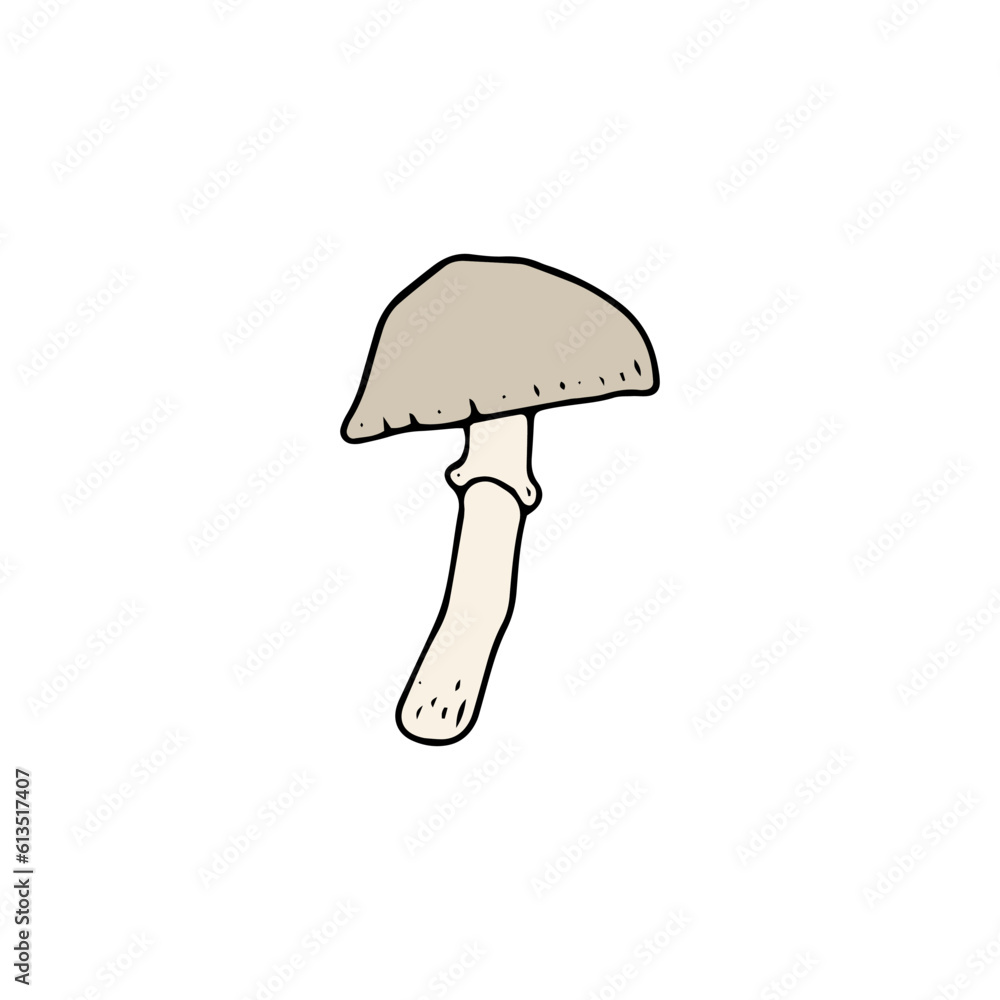 Mushroom, great design for any purposes. Doodle vector illustration. Edible mushrooms and toadstools. Healthy food illustration. Autumn forest plants sketches for textiles, wallpaper, coloring Mushroom, great design for any purposes. Doodle vector illustration. Edible mushrooms and toadstools. Healthy food illustration. Autumn forest plants sketches for textiles, wallpaper, coloring