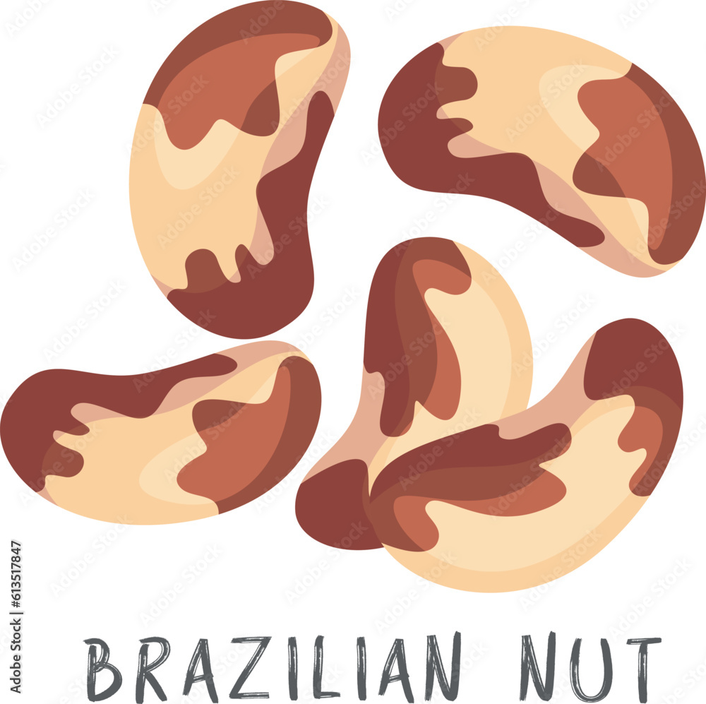 Brazilian nut pecan peeled whole seeds name text healthy food vector flat illustration Brazilian nut pecan peeled whole seeds name text healthy food vector flat illustration