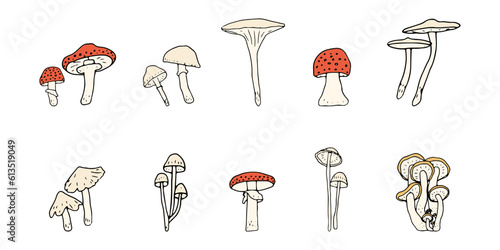 Mushroom  great design for any purposes. Doodle vector illustration. Edible mushrooms and toadstools. Healthy food illustration. Autumn forest plants sketches for textiles  wallpaper  coloring