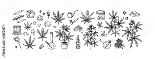Cannabis set. Hand drawn weed plant, tools for smoking, marijuana cookies and sweets. Vector illustration in sketch stile. Engraving elements for packaging design
