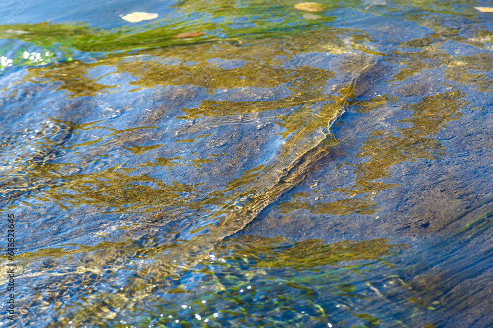 flow of water and spray from a stone flow of water and spray from a stone