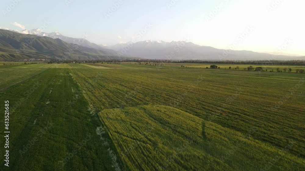 flight over autumn fields with mountain background flight over autumn fields with mountain background