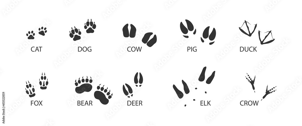 Animal tracks black set icon. Foot print of animal and bird. Vector isolated illustration