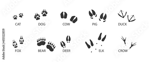 Animal tracks black set icon. Foot print of animal and bird. Vector isolated illustration