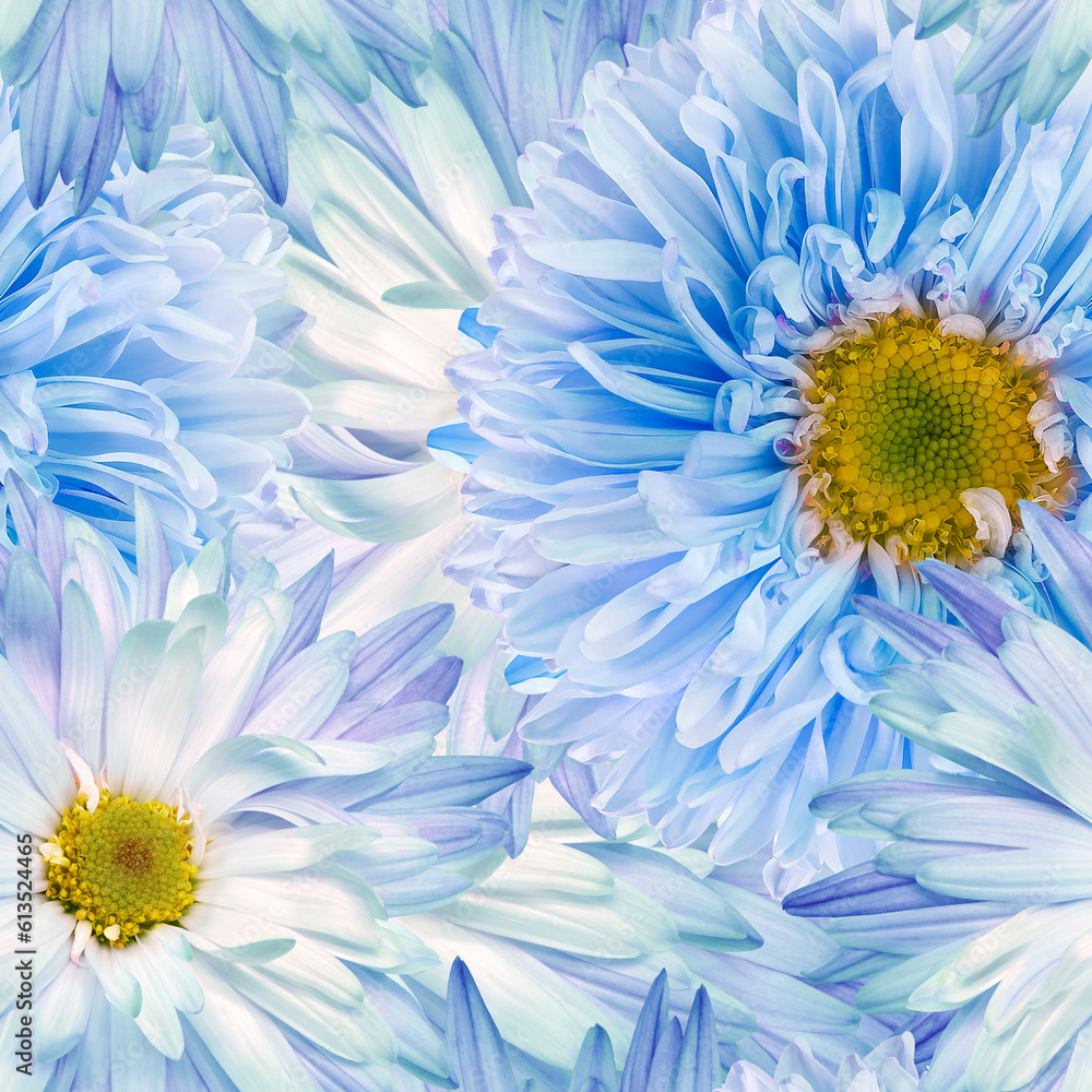 Obraz premium Seamless floral background. Flowers chrysanthemums and petals peonies. Close up.