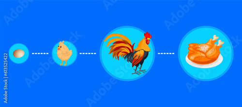 illustration design. eggs become chicks grow into adult chickens and become fried chickens.