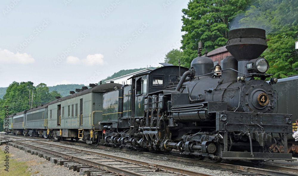 Naklejka premium Passenger train at Cass, WV on the Cass Scenic Railroad