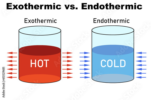 Exothermic and endothermic reactions in chemistry photo