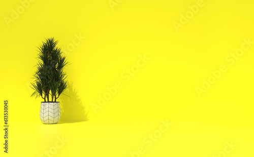 Tree on pot with isolated background(3D Rendering) Minimal Tree background