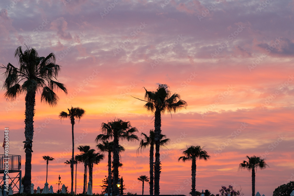 Obraz premium Aegian sea sunrise behind palm tree silhouettes at Kallithea, Greece