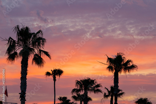 Aegian sea sunrise behind palm tree silhouettes at Kallithea, Greece