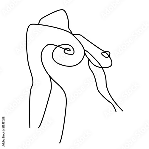 female figure in an erotic pose