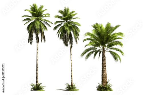 Palm trees isolated on transparent background, tropical palm tree over white background, foliage design. generative ai
