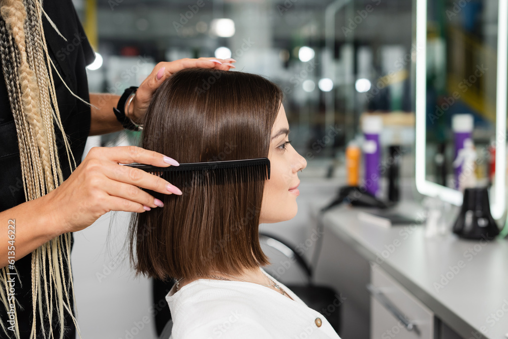 Fototapeta premium salon job, hairdresser with braids brushing hair of woman, professional hair comb, hairstyling, hair treatment, hairdo, extension, salon customer, beauty profession, client satisfaction, side view