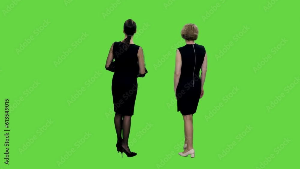 Rear view two women in black dresses standing looking at something and discussing on green background, Chroma key, 4k pre-keyed footage Rear view two women in black dresses standing looking at something and discussing on green background, Chroma key, 4k pre-keyed footage