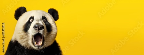 Panda looking surprised, reacting amazed, impressed, standing over yellow background photo