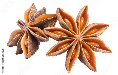 Delicious star anise spice cut out
