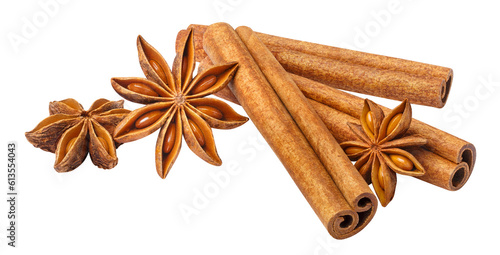 Delicious cinnamon sticks and star anise cut out