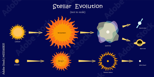 Stellar evolution step by step. Stars, planetary nebula, supernova, black hole, white dwarf, neutron star. Cartoon vector illustration on dark blue background. Not to scale.