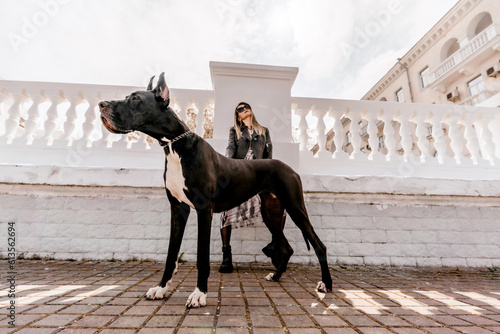 Photography A woman walks with her Great Dane in an urban setting, enjoying the outdoors and the company of her dog
