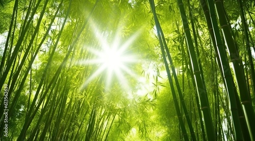 Tranquility in the Asian Bamboo Forest  Bathed in Morning Sunlight. Generative AI