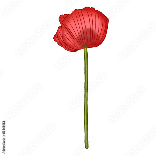 Red Poppy flower decorate