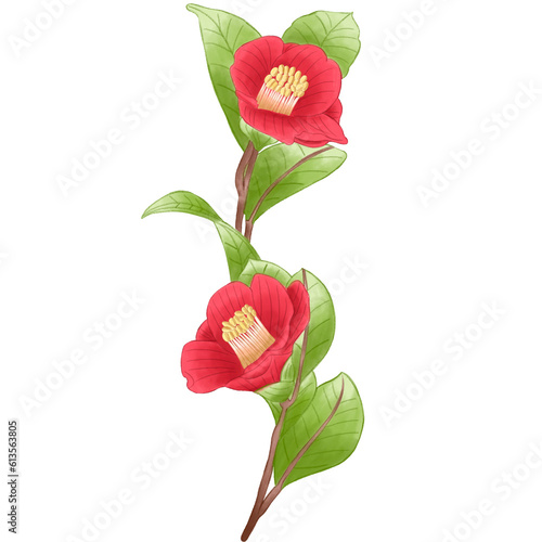 Fotografie, Obraz Single red branch camelia flower