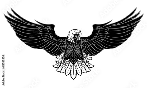 Black and white powerful eagle spread the wings