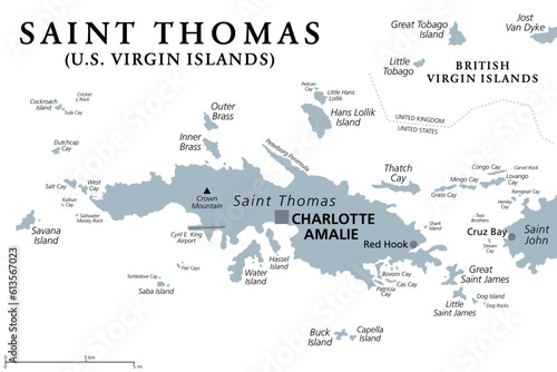 Saint Thomas, United States Virgin Islands, gray political map. One of the three largest islands of the USVI. The territorial capital and port of Charlotte Amalie is also located on the island. Vector photo