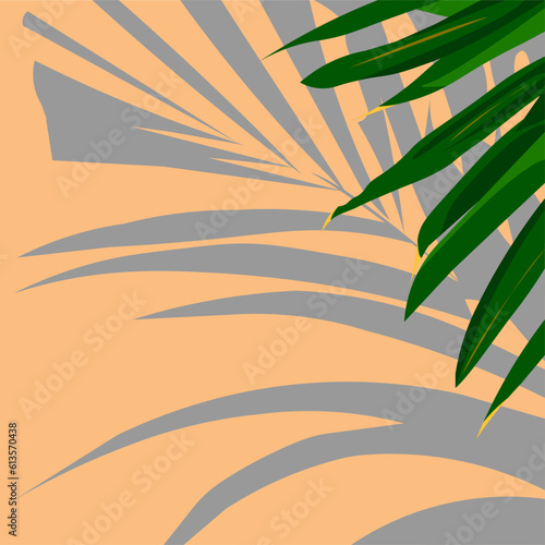 vector graphics. palma green leaves with it's shadow on the background. summer calm colors