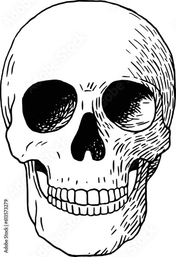 Black and white drawing of a scull retro vintage line art isolated on white