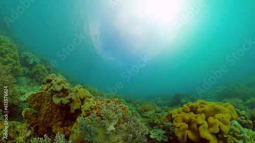 Underwater Tropical Reef View. Tropical fish reef marine. Soft-hard corals seascape. Philippines.