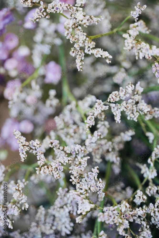 Delicate floral background. Bouquet of small purple flowers. Limonium flowers. Delicate floral background. Bouquet of small purple flowers. Limonium flowers.