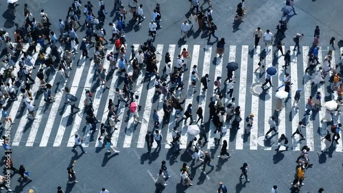 Aerial view of pedestrians walk crossing road intersection junction in downtown. Tokyo, Japan.
