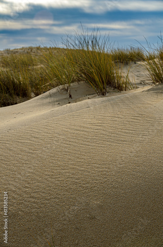 Vieux-Boucau is a village and tourist destination that develops around a sea lake, surrounded by dunes and beaches that form the typical landscape of the Landes region in France photo