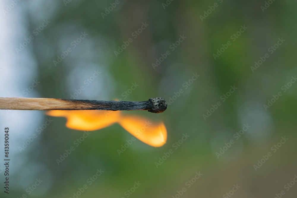 Fire danger in the forest. A close-up of a burning match. Fire Security