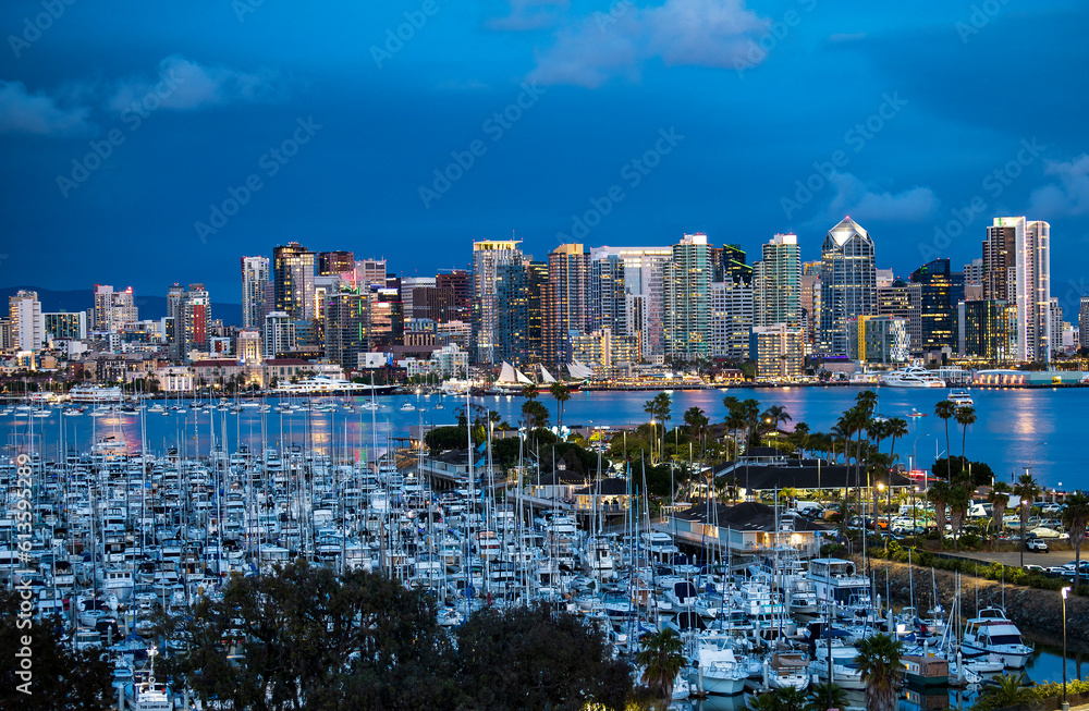 Fototapeta premium San Diego Skyline