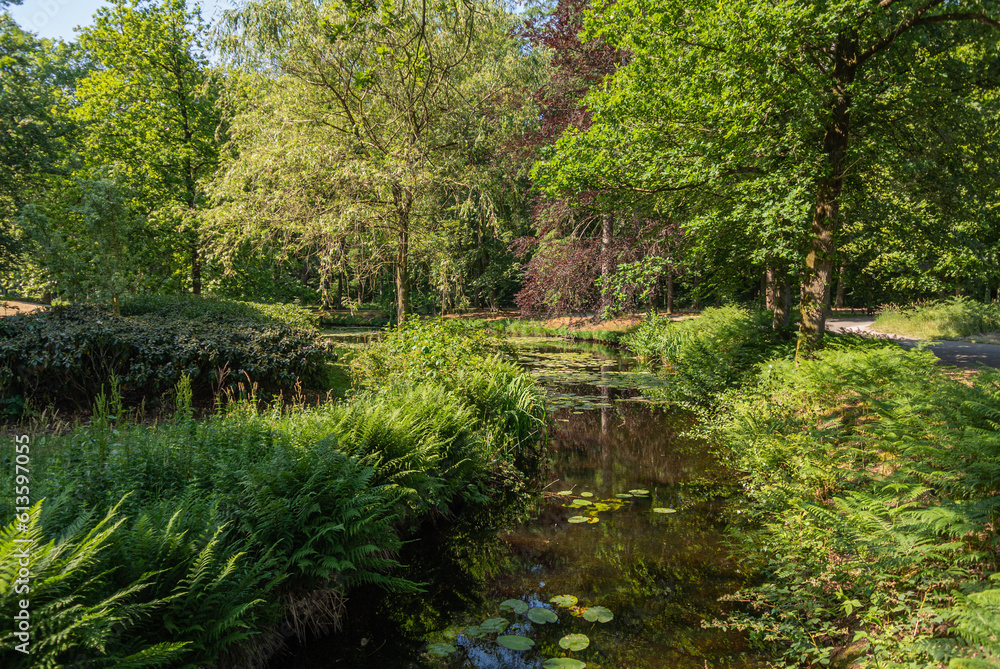 Obraz premium Foto: Jos Zwaan ©2023