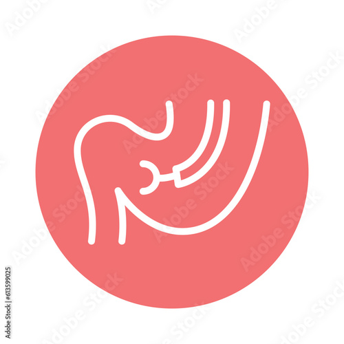 Stomach biopsy line icon. Isolated vector element.